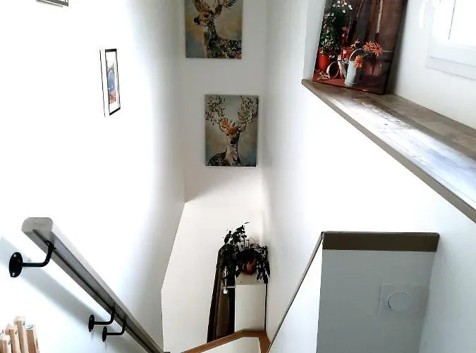 Maison Entre Campagne Et Foret Vakantiehuis *